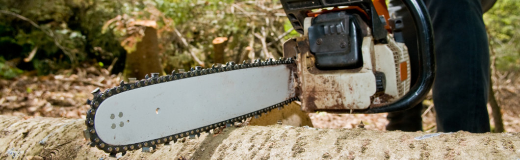 connecticut-tree-service