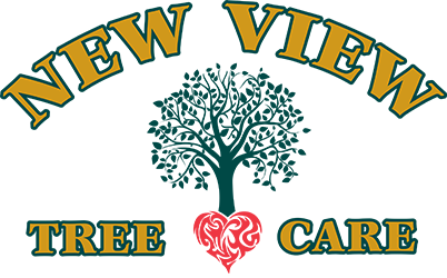 North Franklin CT Tree Care, Trimming & Removal | New View Tree Care LLC